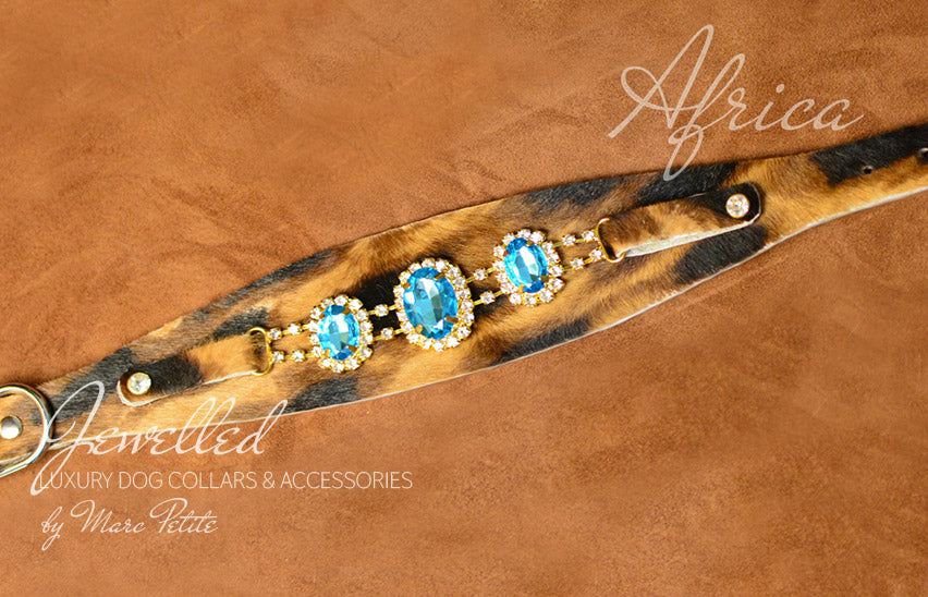 Designer Dog Collar