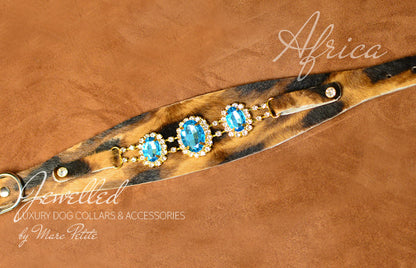 Designer Dog Collar