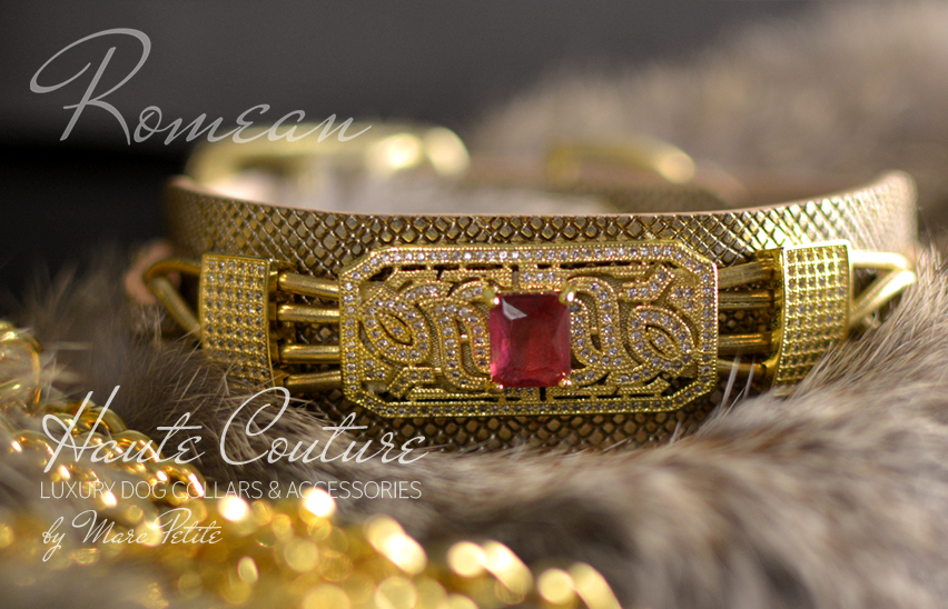 Gold dog collar and leash