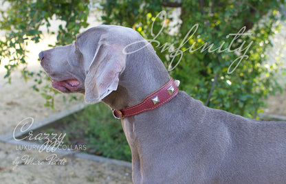 luxury dog collar