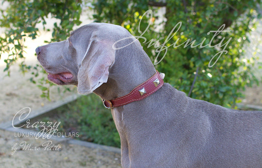 luxury dog collar