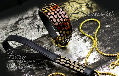 Designer Dog Collar & Leash