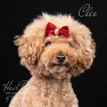 Red Dog Hair Bows