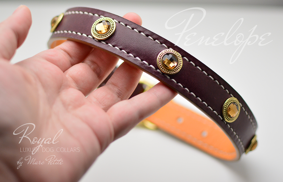 Medieval Dog Collar