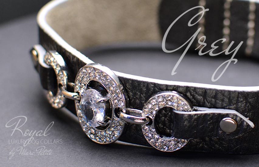 Designer dog collar