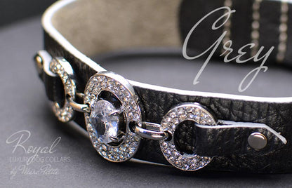 Designer dog collar