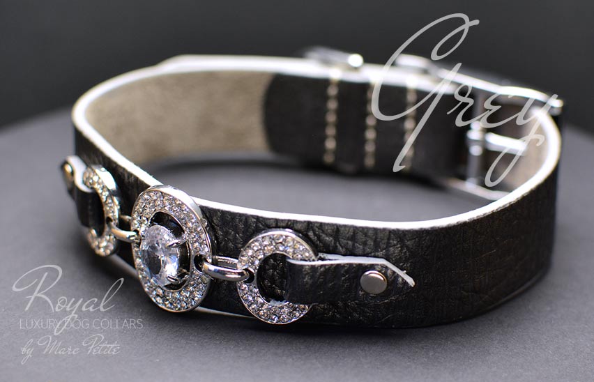 Fashion Dog Collar