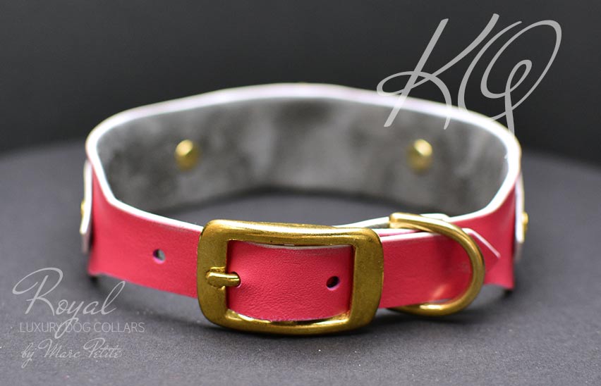 Rose Dog  HoundCollar