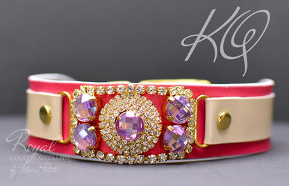 Designer Dog Collar