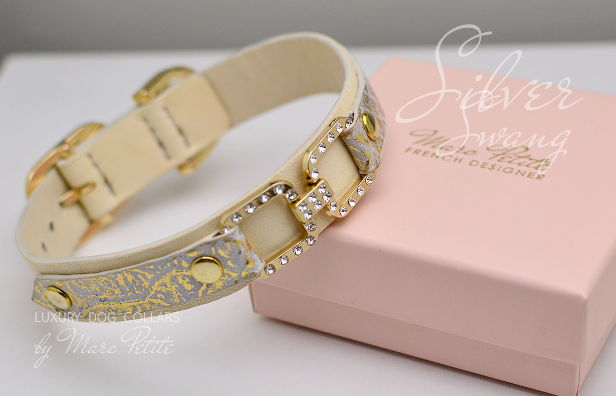 Designer Dog Collar