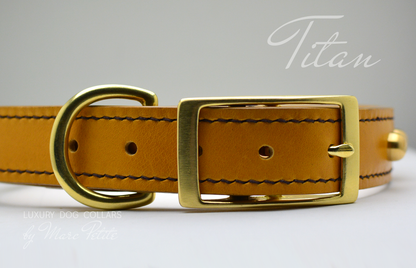 dog collars