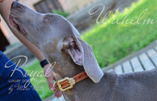 Load image into Gallery viewer, Exclusive Dog Collar