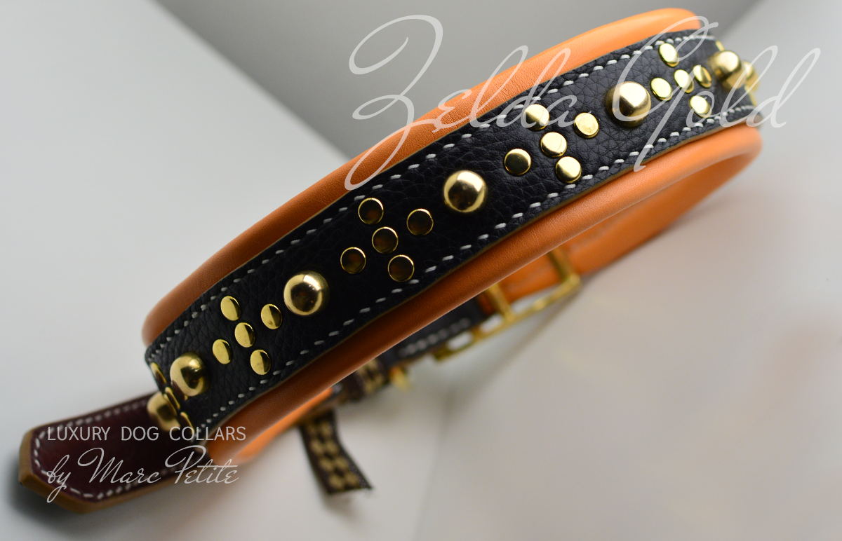 Exclusive Dog Collar