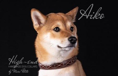 Husky Dog Collars